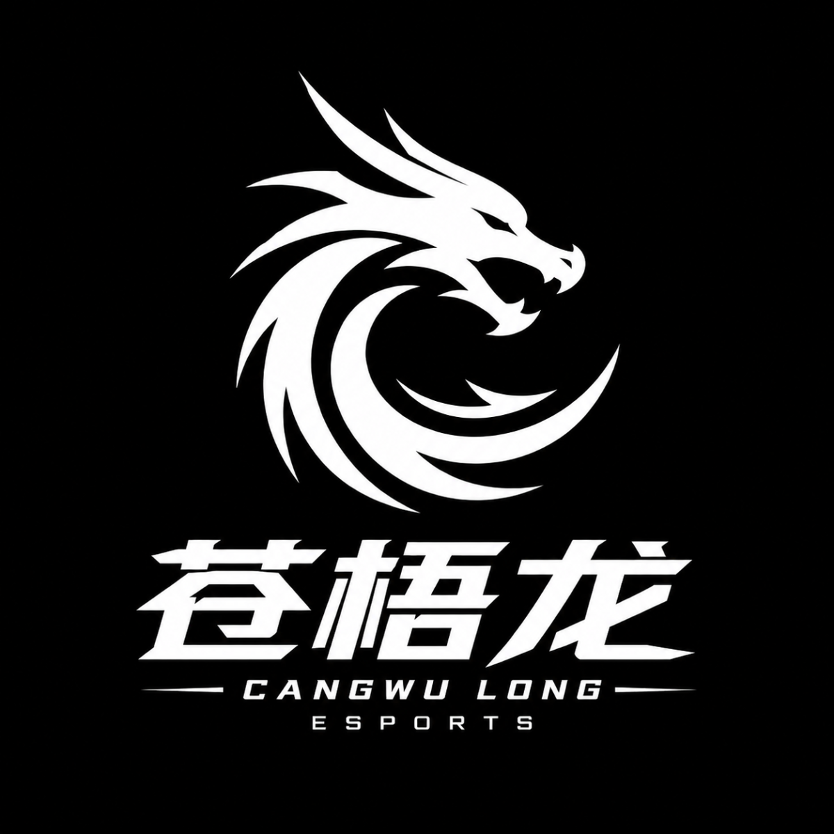 苍梧龙电竞